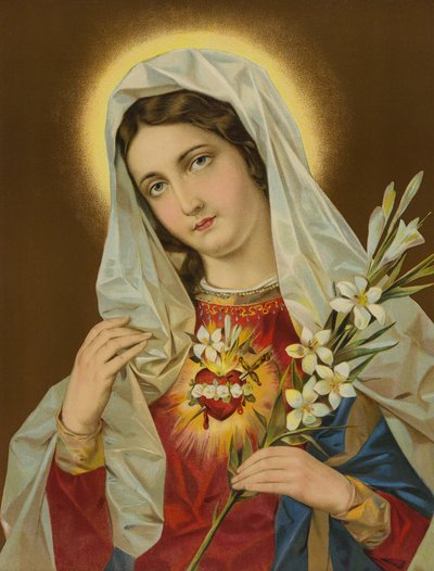Sacré-Cœur de la Vierge Marie - European School